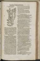 Seite 1533