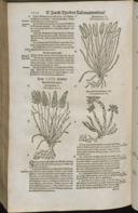Seite 1534