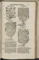 Seite 1535