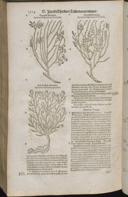 Seite 1536