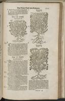 Seite 1537