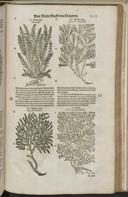 Seite 1539