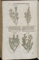 Seite 1540