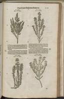 Seite 1541