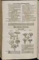 Seite 1542