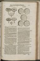 Seite 1543