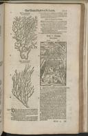 Seite 1547