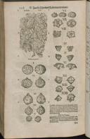 Seite 1550