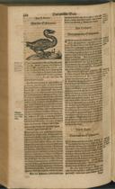 Seite 695