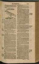 Seite 854
