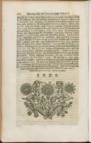 Seite 166