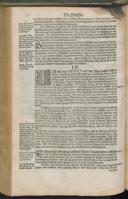 Page 256