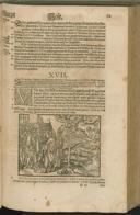Seite 231