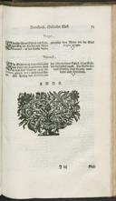 Seite 119