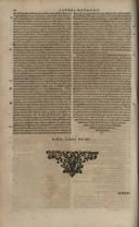 Seite 181