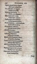 Page 306