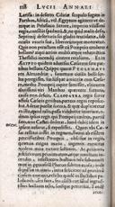 Seite 146
