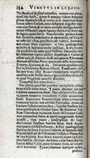Seite 262