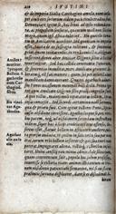 Page 239