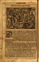 Seite 252