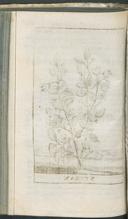 Seite 220