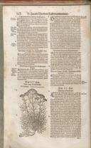 Seite 173