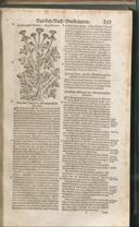Seite 264