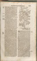 Seite 294