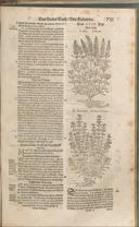 Seite 766
