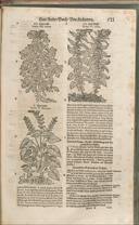 Seite 936