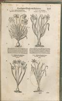 Seite 1016