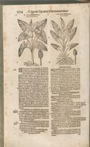 Seite 1139