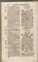 Seite 1143