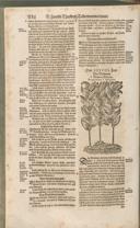 Seite 1151