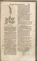 Seite 1154