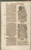 Seite 1161