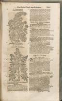 Seite 1164