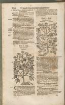 Seite 1171