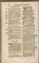 Seite 1175
