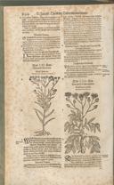 Seite 1179