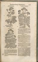 Seite 1184