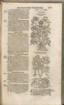 Seite 1186