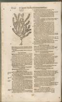 Seite 1261