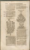 Seite 1263