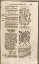 Seite 1264