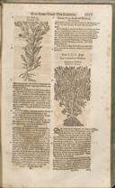 Seite 1268