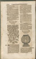 Seite 1269