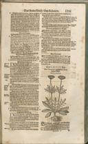 Seite 1270