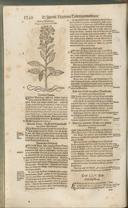 Seite 1275