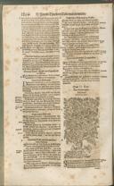 Seite 1279
